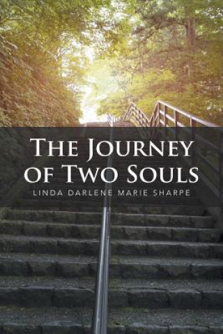 Книга Journey of Two Souls LINDA DARLENE MARIE