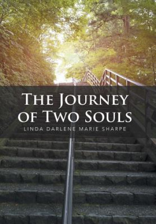 Kniha Journey of Two Souls LINDA DARLENE MARIE