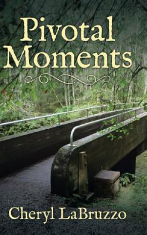 Buch Pivotal Moments CHERYL LABRUZZO