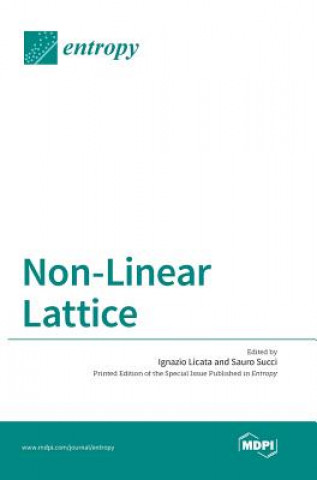 Kniha Non-Linear Lattice 