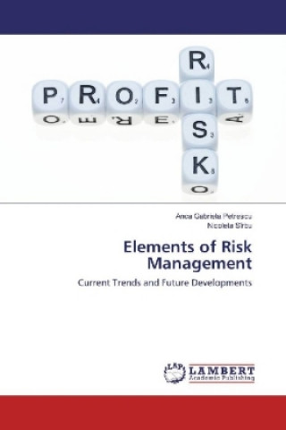 Könyv Elements of Risk Management Anca Gabriela Petrescu