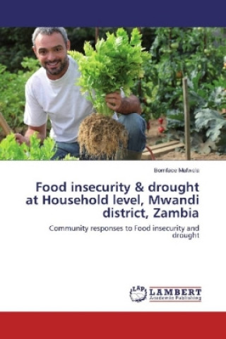 Carte Food insecurity & drought at Household level, Mwandi district, Zambia Bornface Mafwela