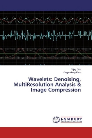 Kniha Wavelets: Denoising, MultiResolution Analysis & Image Compression Vijay Dhir