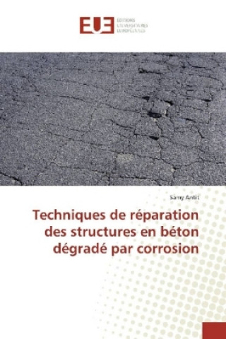 Carte Techniques de réparation des structures en béton dégradé par corrosion Samy Antit