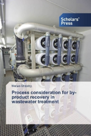 Kniha Process consideration for by-product recovery in wastewater treatment Marwa Shalaby