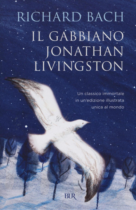 Kniha Il gabbiano Jonathan Livingston Richard Bach