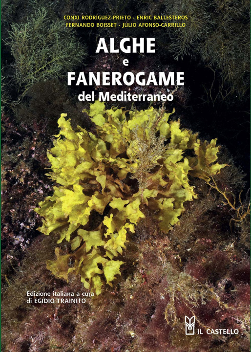 Kniha Alghe e fanerogame del Mediterraneo 