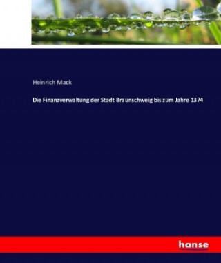 Buch Finanzverwaltung der Stadt Braunschweig bis zum Jahre 1374 Heinrich Mack