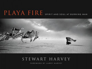 Book Playa Fire: Spirit and Soul at Burning Man Stewart Harvey