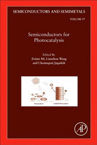 Kniha Semiconductors for Photocatalysis Zetian Mi