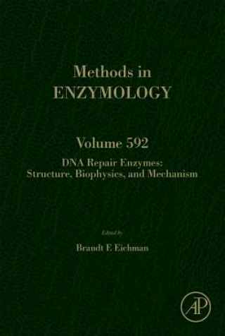 Könyv DNA Repair Enzymes: Structure, Biophysics, and Mechanism Brandt Eichman