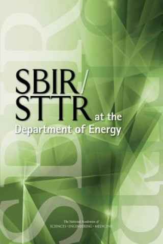 Kniha Sbir/Sttr at the Department of Energy National Academies of Sciences Engineeri