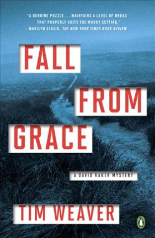 Book Fall from Grace: A David Raker Mystery Tim Weaver