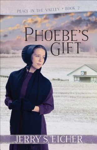 Knjiga Phoebe's Gift: Volume 2 Jerry S. Eicher