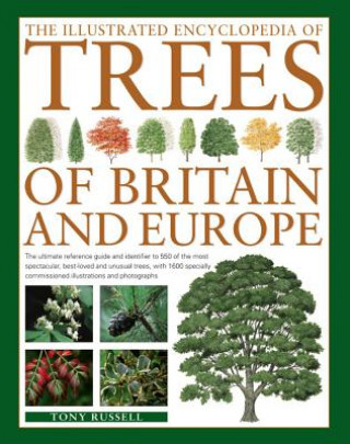 Könyv Illustrated Encyclopedia of Trees of Britain and Europe Tony Russell