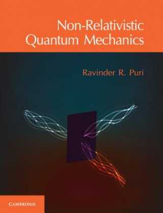 Kniha Non-Relativistic Quantum Mechanics Ravinder R. Puri