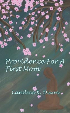 Kniha Providence for a First Mom Caroline K. Dixon