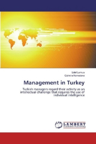 Książka Management in Turkey Edel Lemus