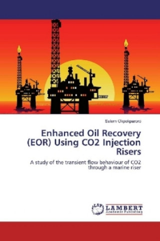 Kniha Enhanced Oil Recovery (EOR) Using CO2 Injection Risers Salem Okpokparoro