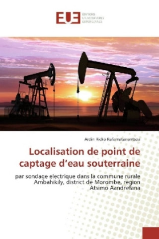 Kniha Localisation de point de captage d'eau souterraine Ardin Ricko Rafamatanantsoa