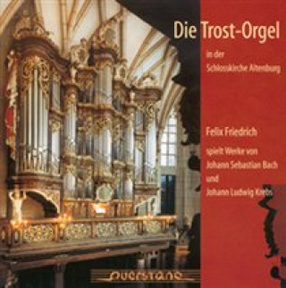 Audio Die Trostorgel In Altenburg Felix Friedrich