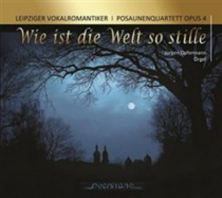 Audio Wie Ist Die Welt So Stille Lpz. Vokalromantiker/Posaunenquartet Opus 4