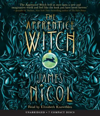 Audio The Apprentice Witch James Nicol