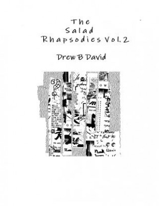 Book Salad Rhapsodies Vol. 2 Drew B. David