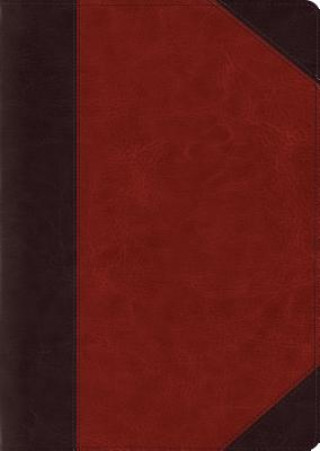 Knjiga ESV Study Bible, Large Print (TruTone, Brown/Cordovan, Portfolio Design) 