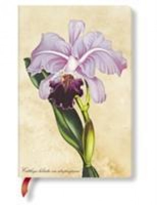 Книга PAINTED BOTANICALS BRAZILIAN ORCHID MINI LIN