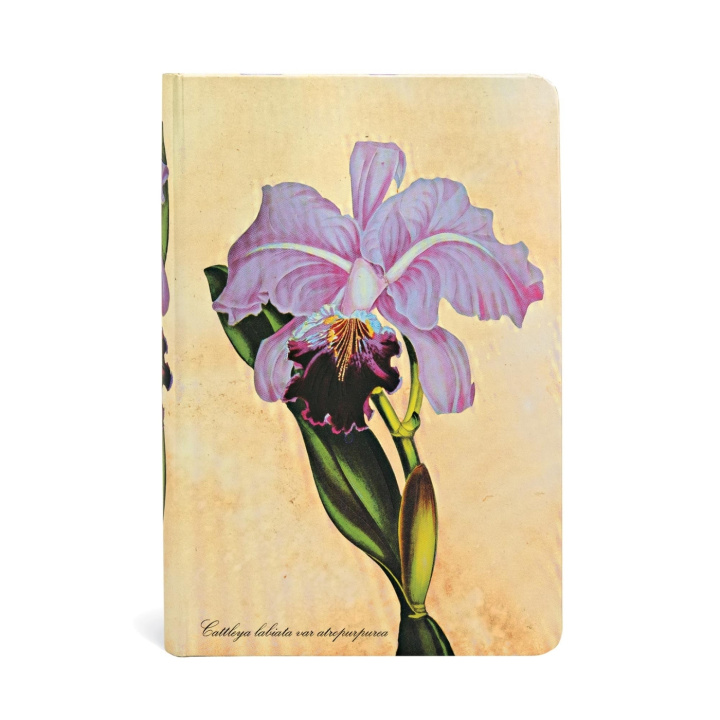 Carte Brazilian Orchid UNL