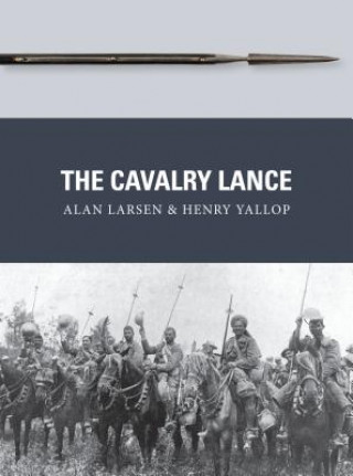 Könyv Cavalry Lance Alan Larsen