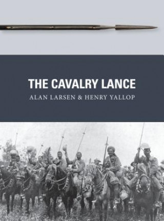 Kniha Cavalry Lance Alan Larsen