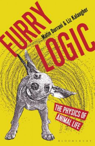 Книга Furry Logic Matin Durrani