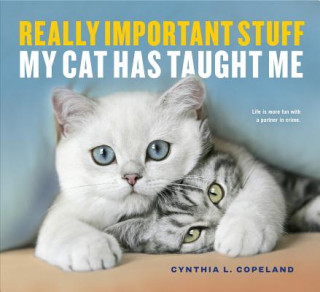 Buch Really Important Stuff My Cat Has Taught Me Cynthia L. Copeland