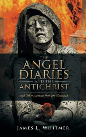 Kniha Angel Diaries and the Antichrist James L. Whitmer