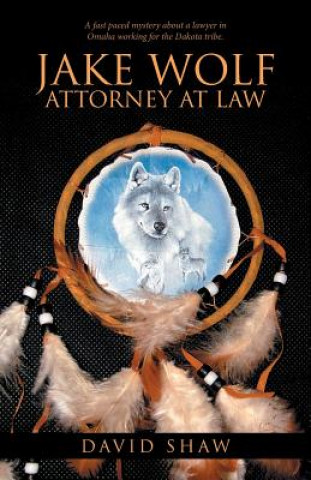 Kniha Jake Wolf Attorney at Law David Shaw