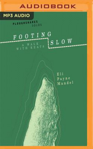 Digital FOOTING SLOW                 M Eli Payne Mandel