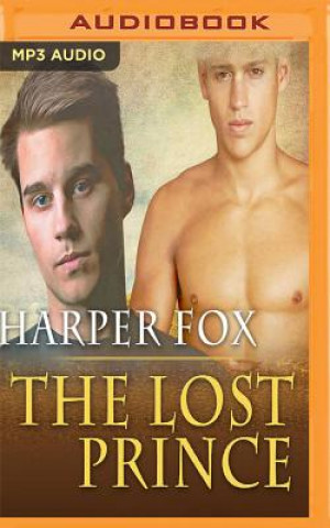 Digital LOST PRINCE                  M Harper Fox