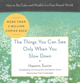 Audio The Things You Can See Only When You Slow Down: How to Be Calm and Mindful in a Fast-Paced World Sean Pratt