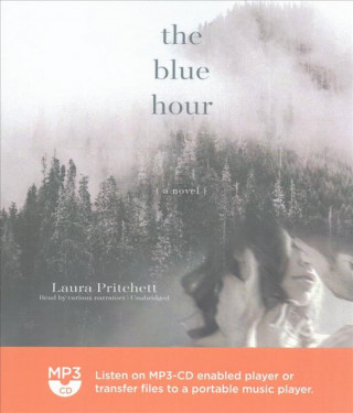 Digital BLUE HOUR                    M Laura Pritchett