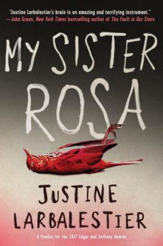 Könyv My Sister Rosa Justine Larbalestier