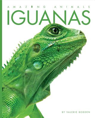 Kniha Amazing Animals: Iguanas Valerie Bodden