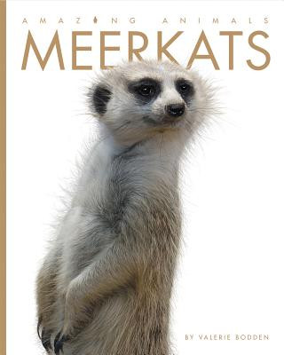 Könyv Amazing Animals: Meerkats Valerie Bodden