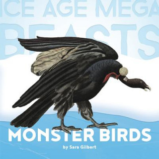 Knjiga Monster Birds Sara Gilbert