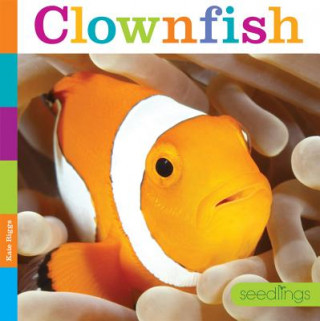 Livro Seedlings: Clownfish Kate Riggs