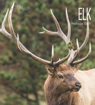 Book Elk Melissa Gish