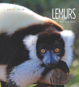 Kniha Lemurs Melissa Gish