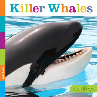 Könyv Seedlings: Killer Whales Kate Riggs