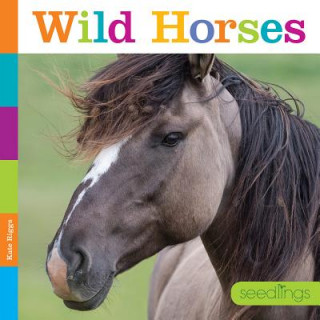 Kniha Seedlings: Wild Horses Kate Riggs